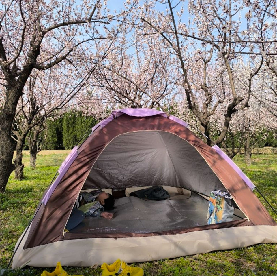 Ultralight Tent Waterproof Camping Tent 2 Person Large Space Outdoor Hiking Tent