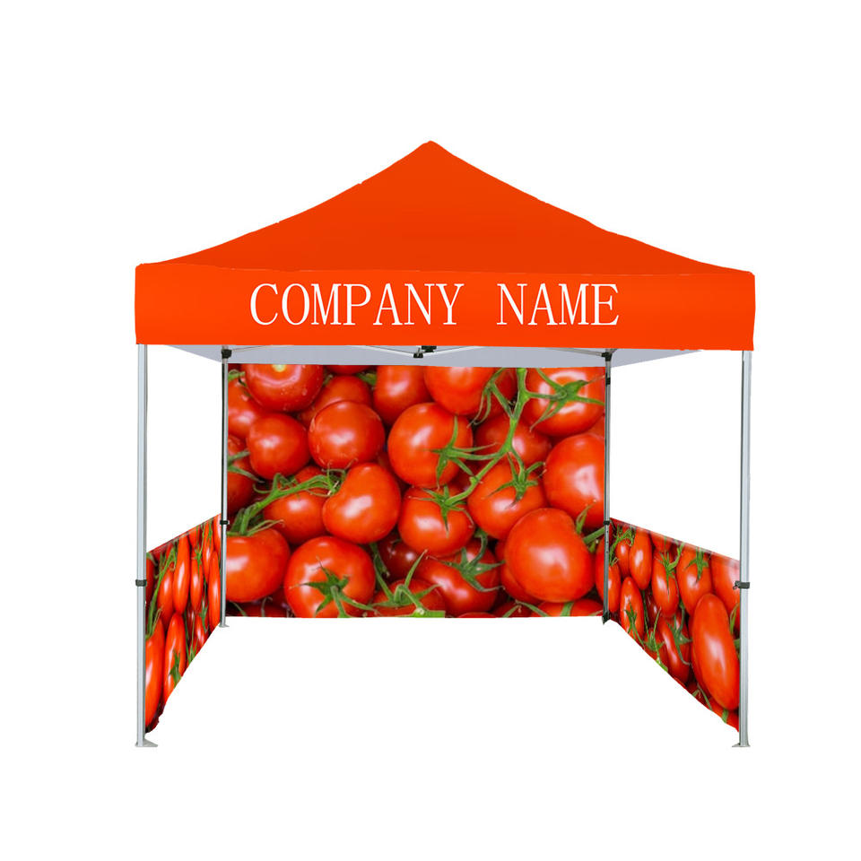 Outdoor Advertising for Events Promotional Custom Logo Tent 3x3 Marquee Pop up Folding Trade Show Tents