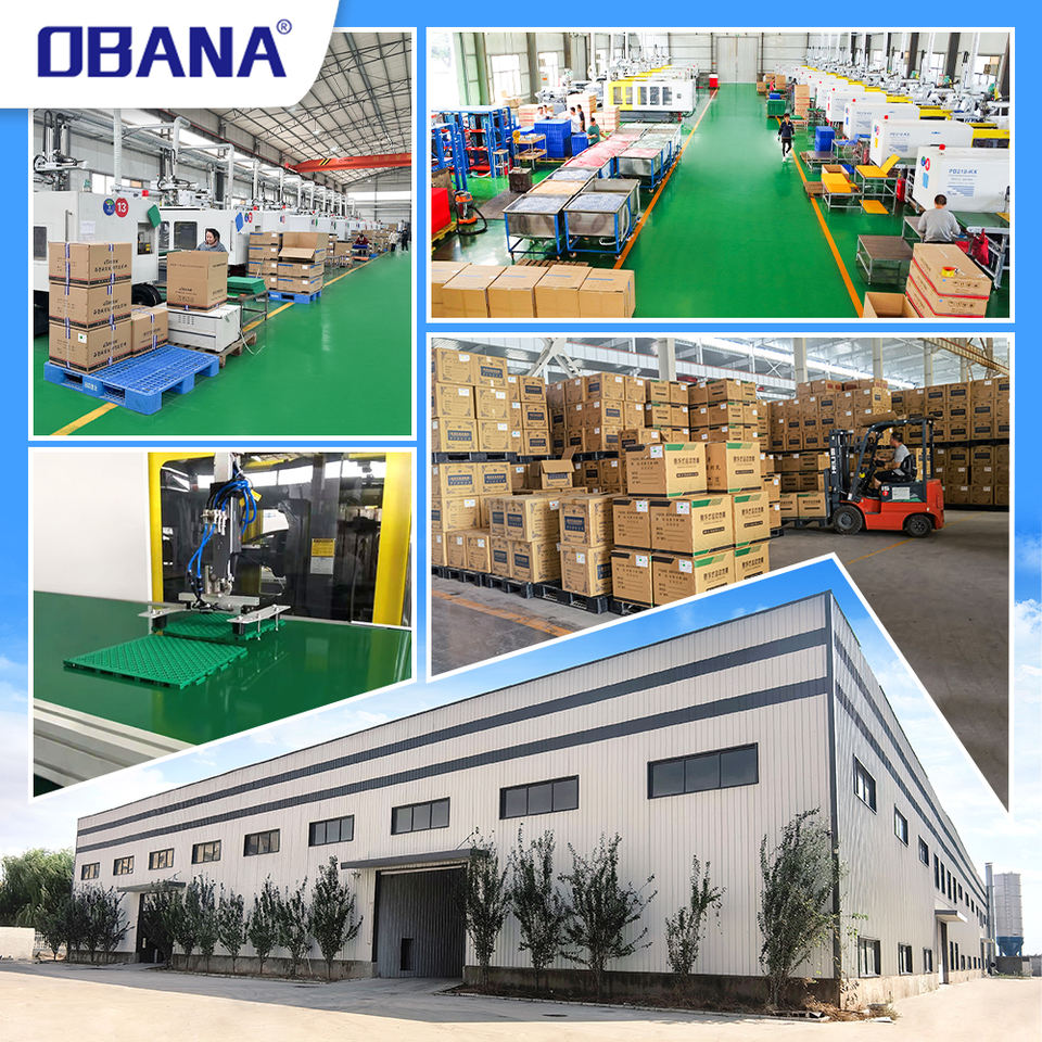 Roller Skating Outdoor Indoor Anti Slip High Quality Plastic Floor Tile Interlocking PP Flooring with Shock Absorbers