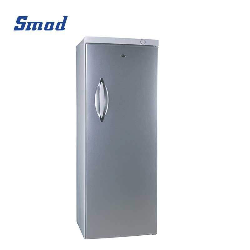 Upright Freezer 10 Drawers Ice Cream Freezer Vertical Deep Freezer