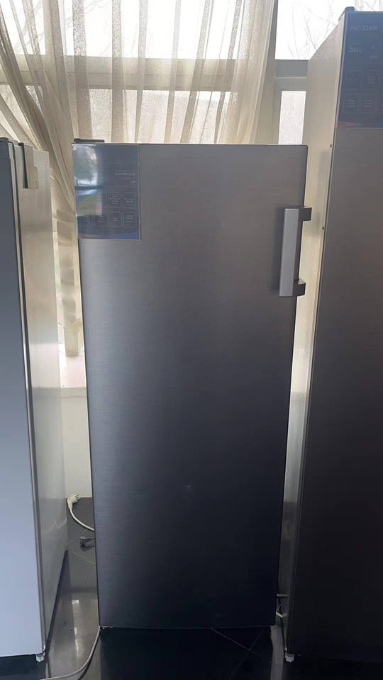 Upright Freezer Fridge and Refrigerator for Home