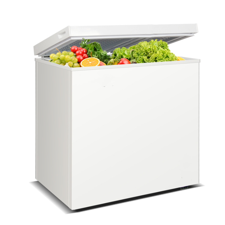 BD-100 Conservadoras 220V Chest Freezer Door With Handle