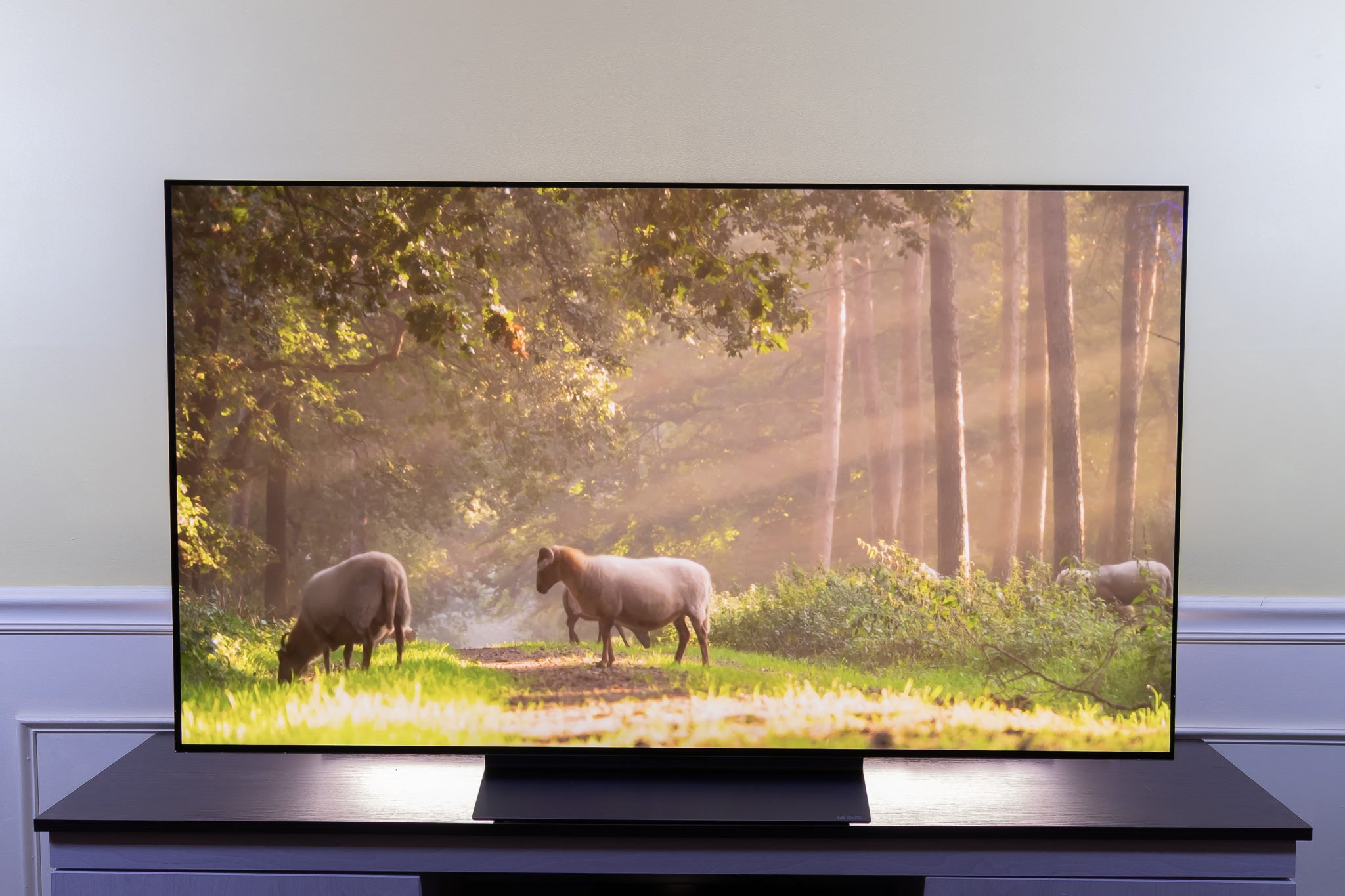 OLED TVs