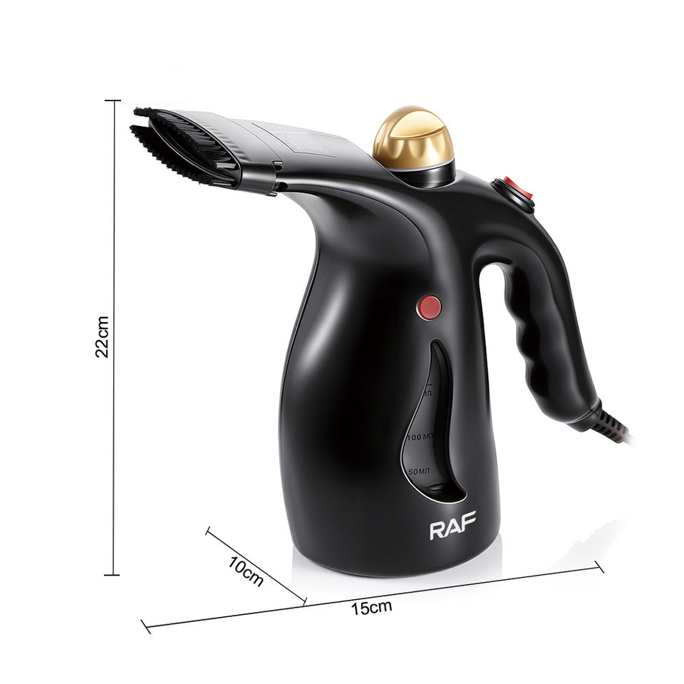 R.1313 Steamer Steam Iron for Laundry 800W Mini Travel Steam Irons Parts Garment Steamer