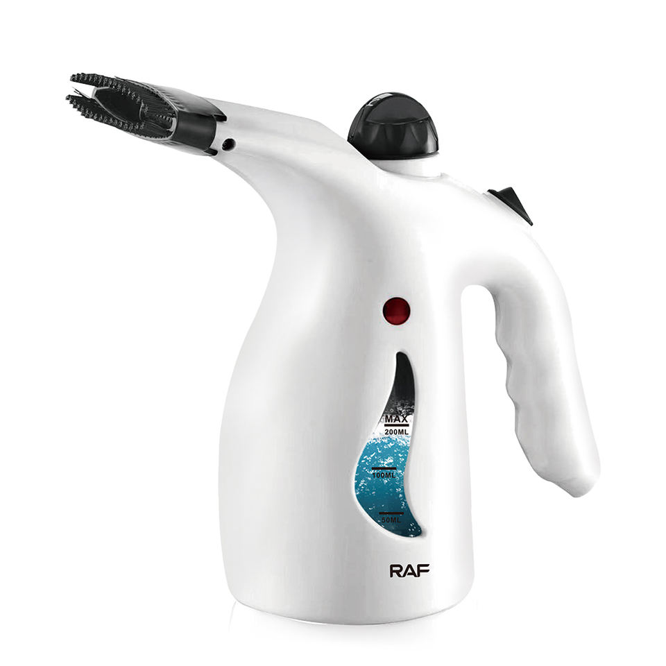 R.1313 Steamer Steam Iron for Laundry 800W Mini Travel Steam Irons Parts Garment Steamer