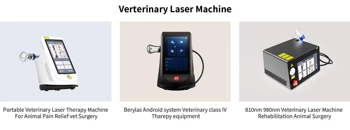 Wuhan Dimed Laser Technology Co., Ltd.