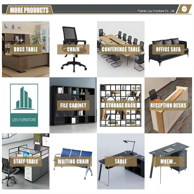 Liyu Furniture Factory Direct Executive Swivel Chair Hot Sale Office Mesh Chair Contemporary Design