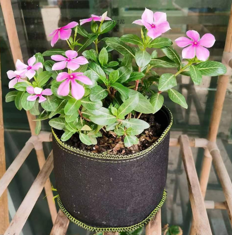 Felt Nonwoven Fabric Tomato Grow Bags Tree Planting Bags Felt Flower Pots