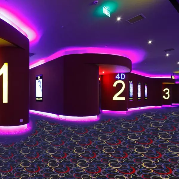 3d Printing Nylon Carpet Rugs Carpet for Cinema Carpet for Movie House