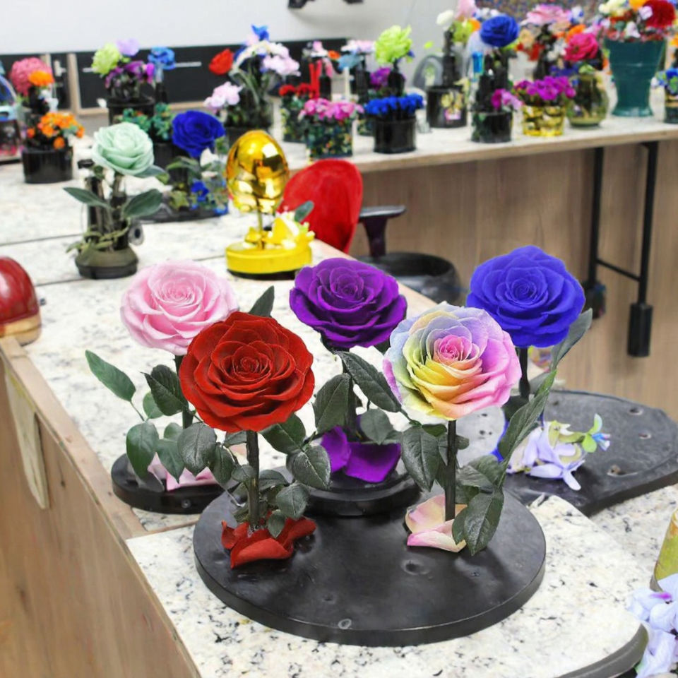 Thanksgiving Gift Preserved Roses Glass Vase-Eternal Long Lasting 3-5 Years High Quality Real Natural Romantic for Women Girls