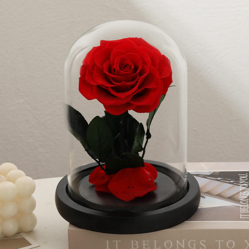 Thanksgiving Gift Preserved Roses Glass Vase-Eternal Long Lasting 3-5 Years High Quality Real Natural Romantic for Women Girls
