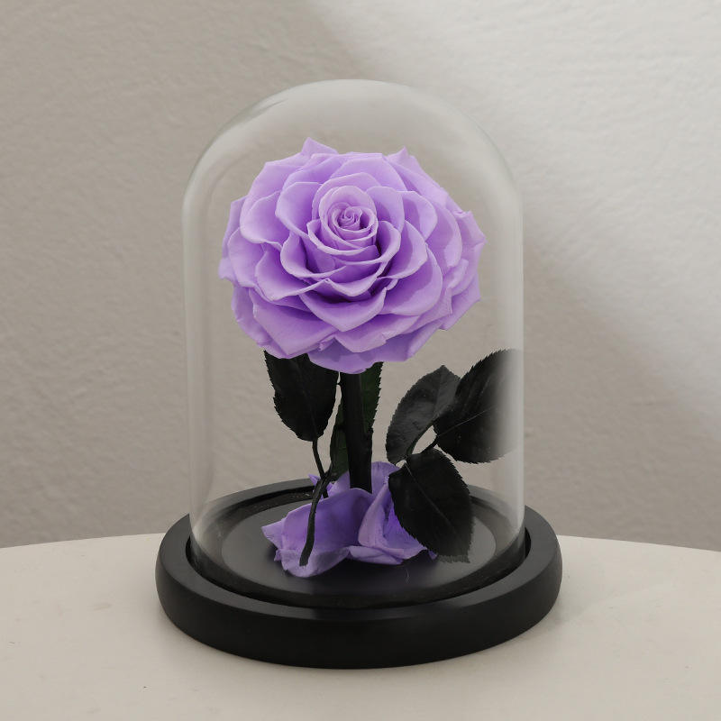 Thanksgiving Gift Preserved Roses Glass Vase-Eternal Long Lasting 3-5 Years High Quality Real Natural Romantic for Women Girls