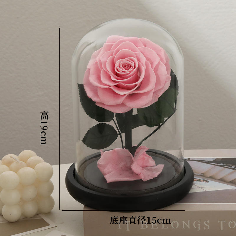 Thanksgiving Gift Preserved Roses Glass Vase-Eternal Long Lasting 3-5 Years High Quality Real Natural Romantic for Women Girls