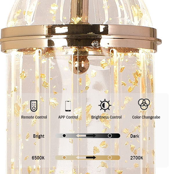 Modern Style LED Globose Acrylic Wall Light 3 CCT Warm White for Bedside Decor Bar Farmhouse Minimalist Contemporary Hanging