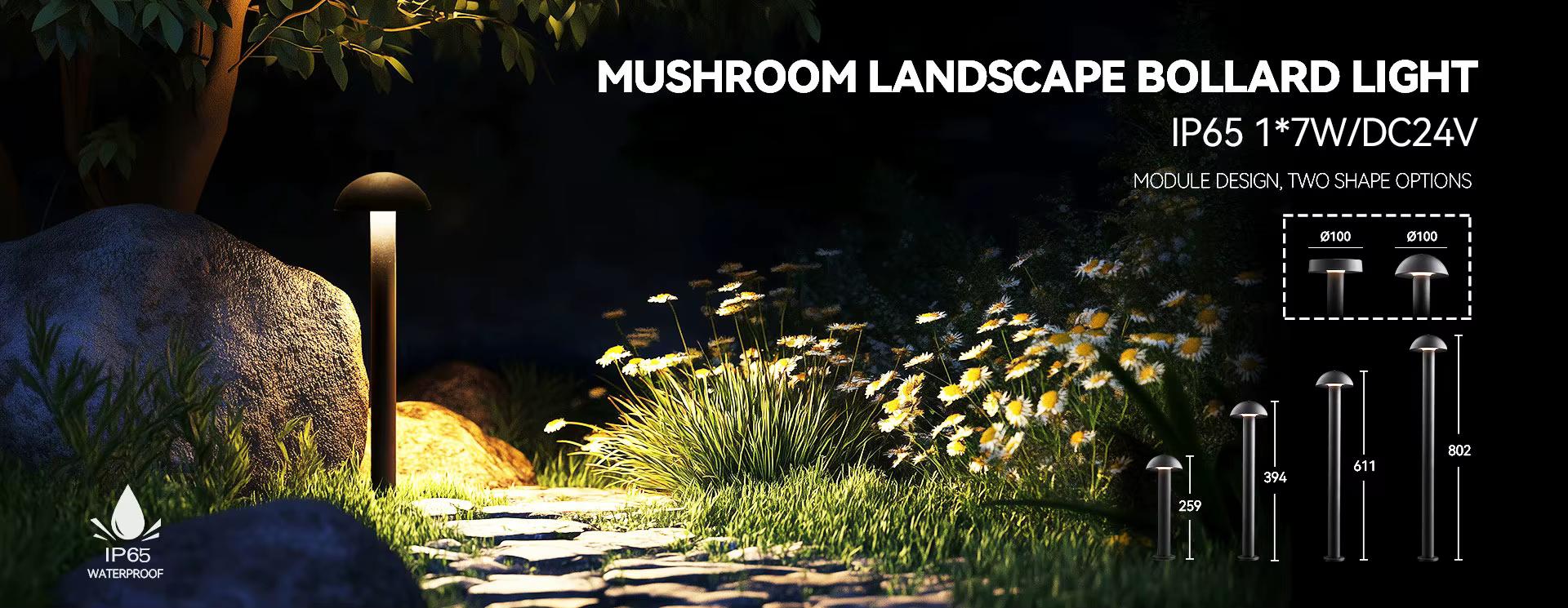 Guangdong Alpha Lighting Co., Ltd.