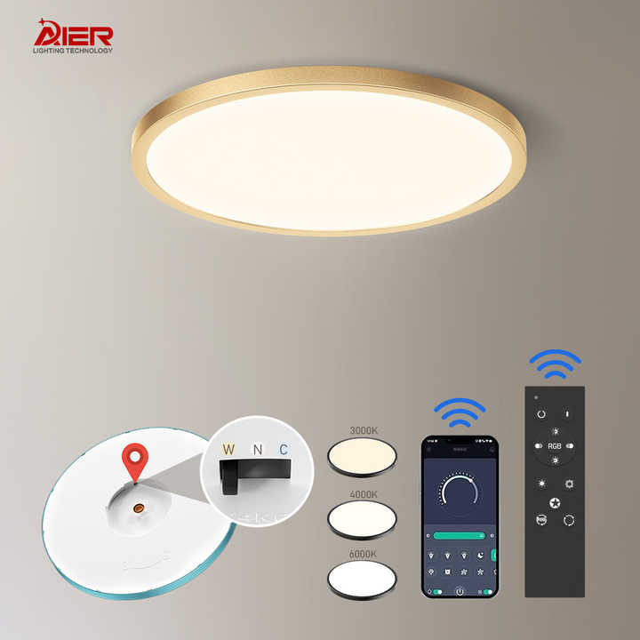 Modern Simple Style Indoor Decoration Bedroom Lving Room Surface Mounted Round 3CCT Led Ceiling Light