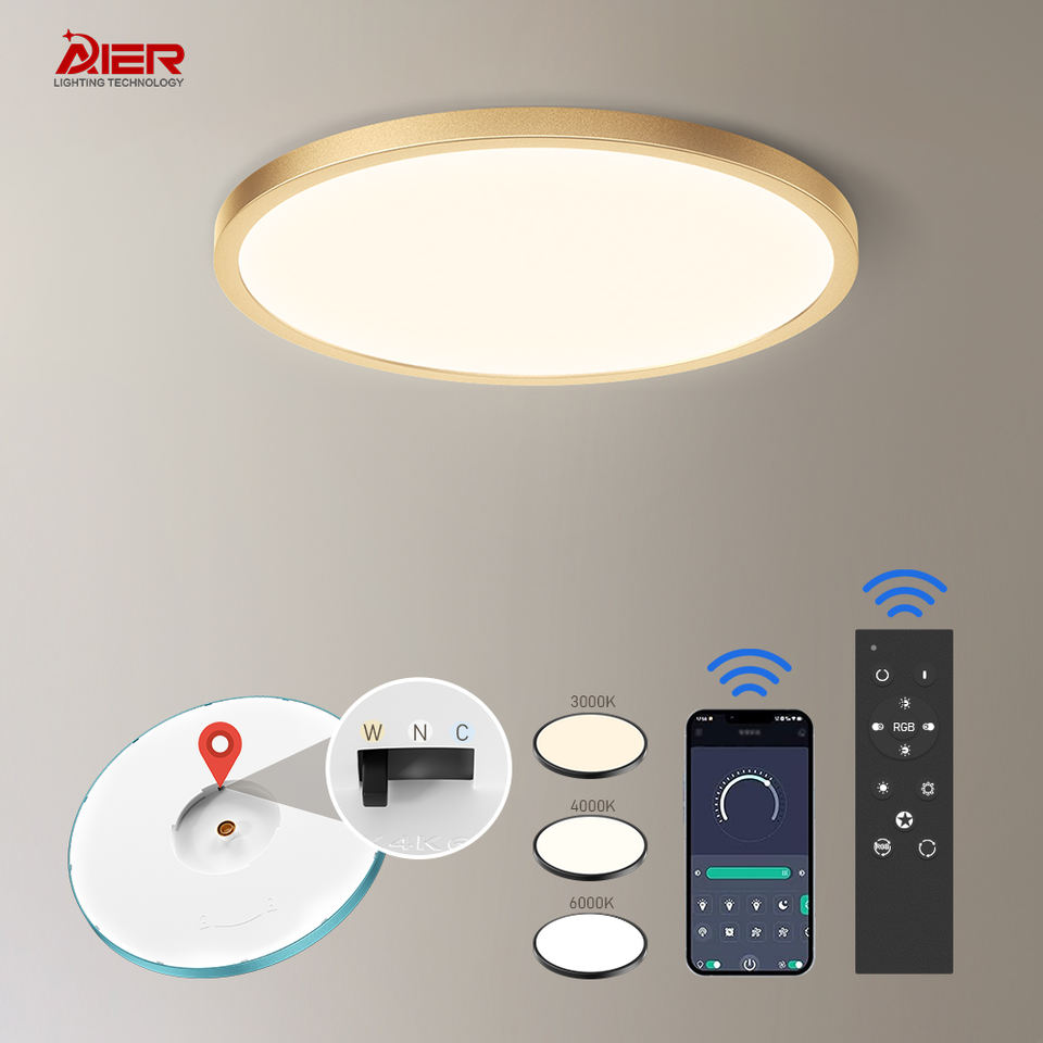 Modern Simple Style Indoor Decoration Bedroom Lving Room Surface Mounted Round 3CCT Led Ceiling Light
