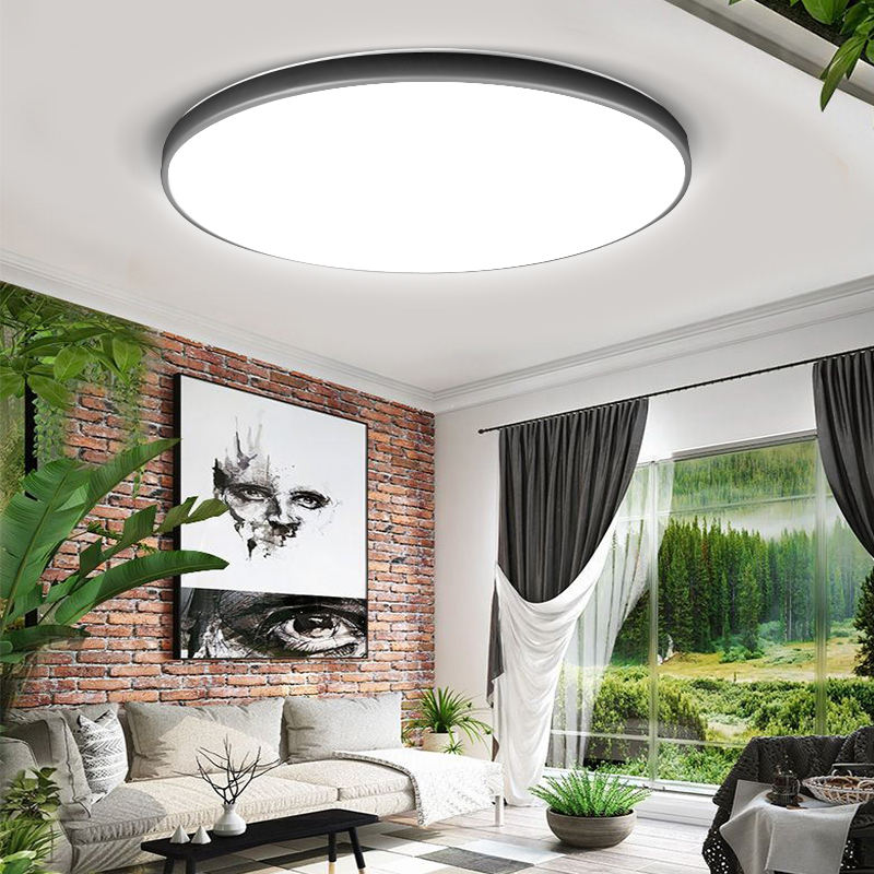 Canmeijia Modern Ceiling Lights for Living Room,round ultra Slim Ceiling Led Light Lamp /ceiling Led Light/led Ceiling Light