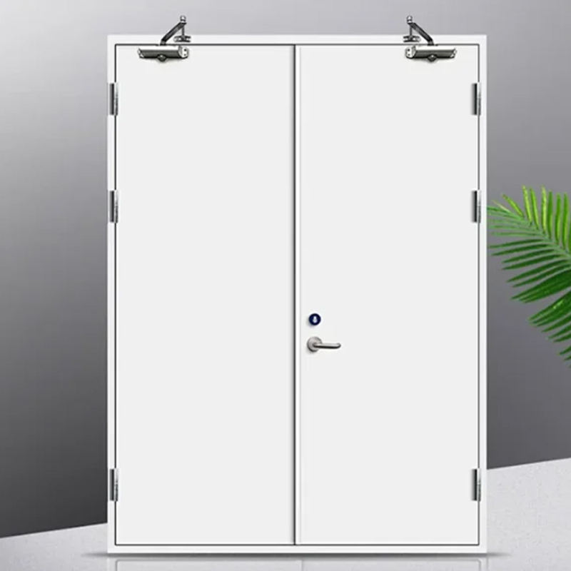 AIS Customized Quality Modern Steel Fire Door Exit Door Interior Office Building Commercial Swing Door