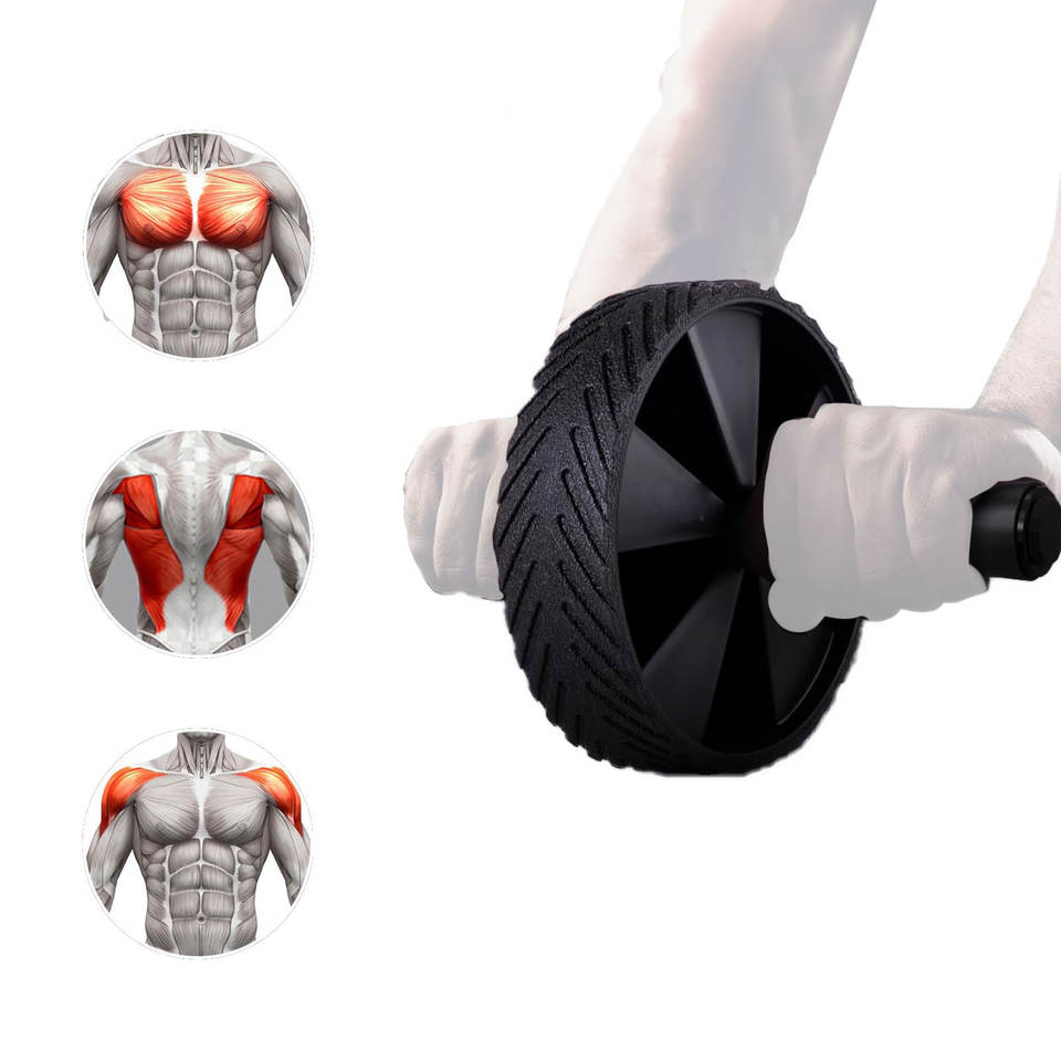 High Quality Professional Abdominal Roller Wheel for Travel Fitness