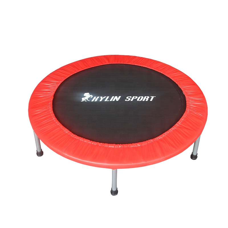 Rising Fitness Different Sizes Sports Trampoline Without Handrail Fitness Mini Round Trampoline for Adults