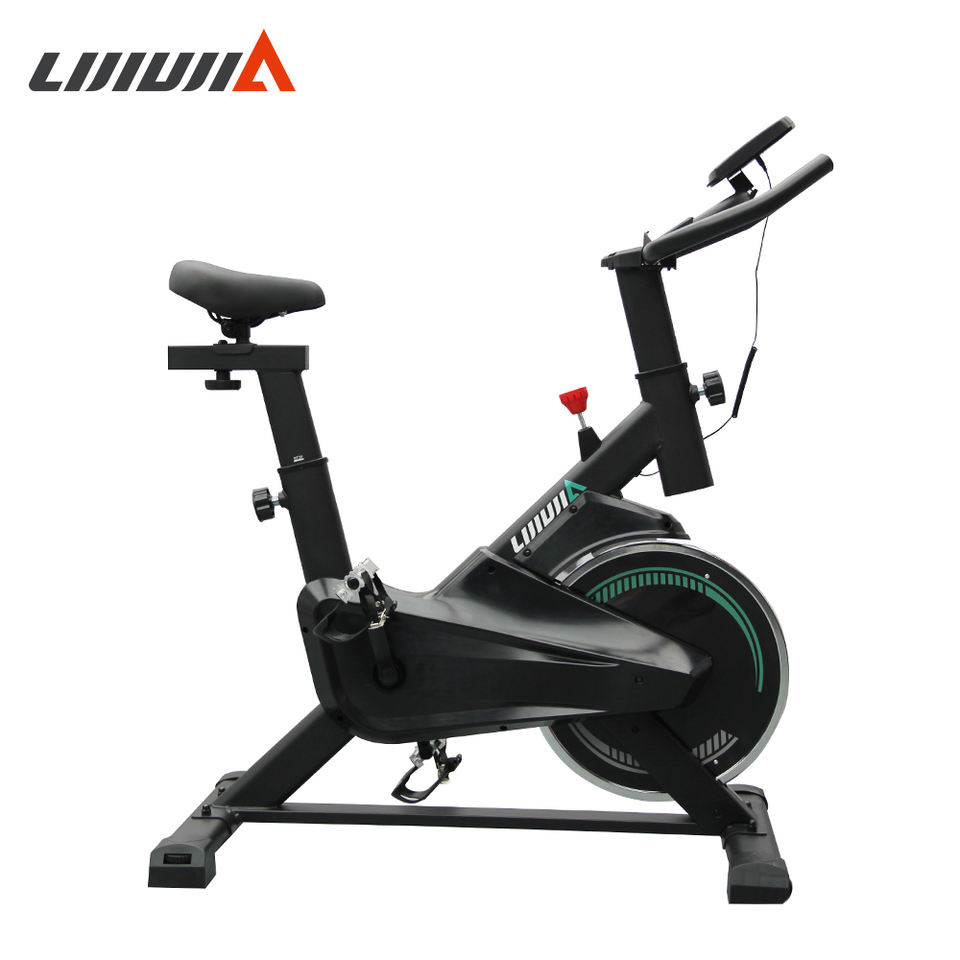 Lijiujia Factory Wholesale Magnetic Cardio Home Gym Indoor Smart Professional Exercise Spining Bike