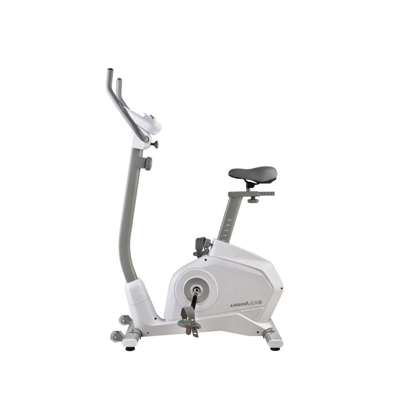 2022 LIJIUJIA Home Use Magnetic Motorized Gym Fitness Equipment Upright Bike Exercise Bike with Cheap Price
