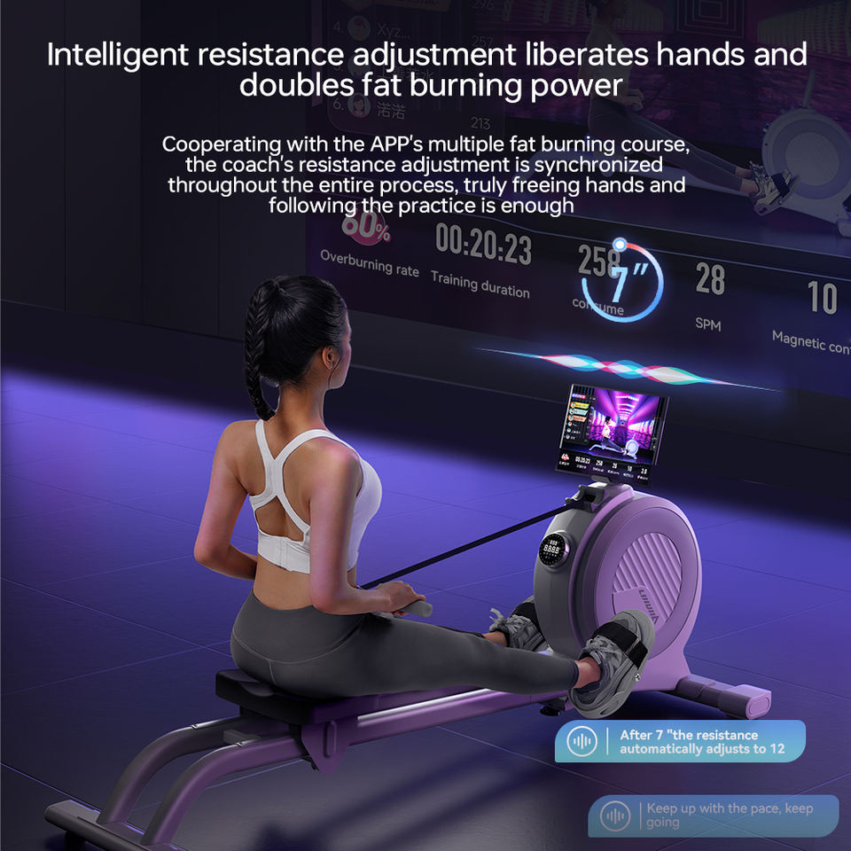 Lijiujia Factory Price Rowing Machine Home Fit Portable Rowing Machine Indoor Magnetic Rowing Machines