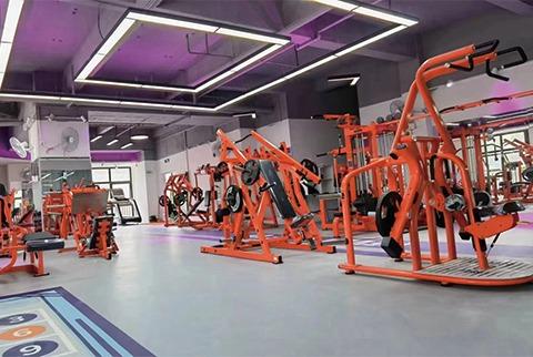 Dezhou Xinzhen Fitness Equipment Co., Ltd.