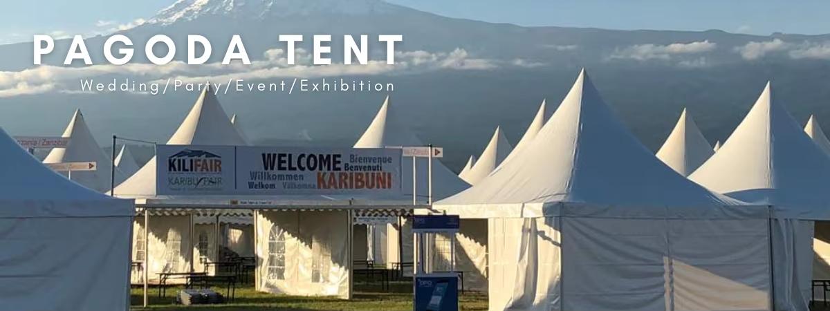 Dongguan Liping Industrial Co., Ltd.