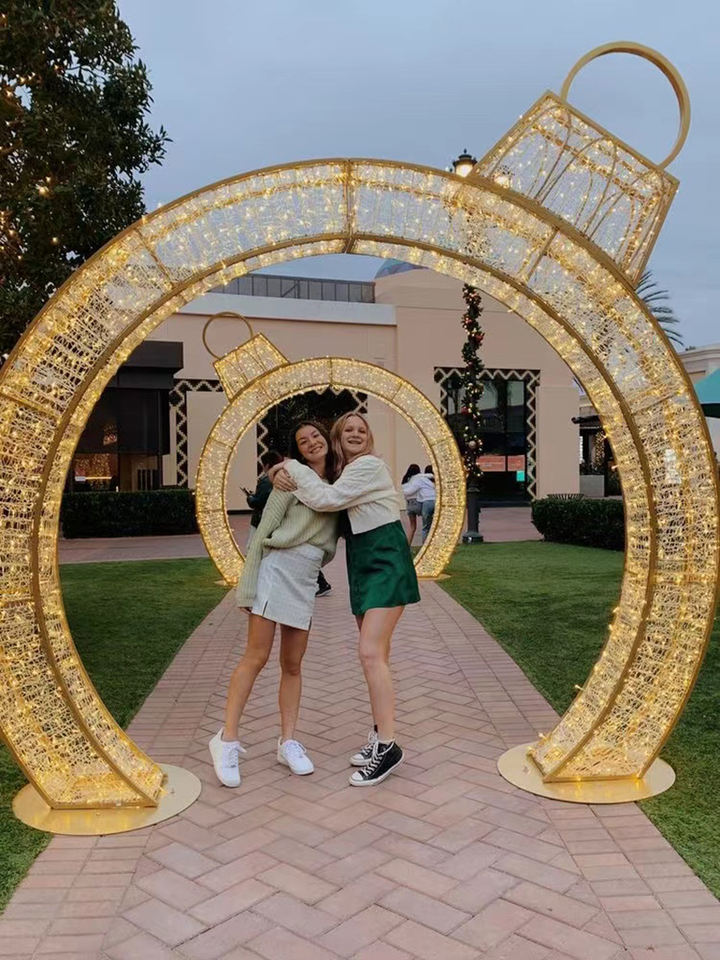 High Quality LED Light Tunnel Motif Arch for Holiday Wedding Decor IP65 Rated for Thanksgiving Christmas & Halloween Landscapes