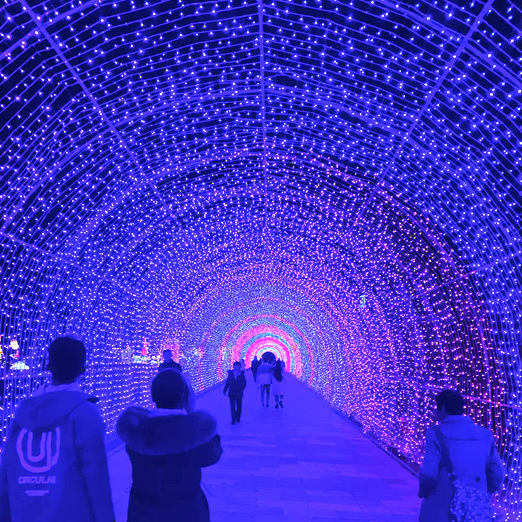 RGB IP65 Outdoor Decorative Arch Light Festive Christmas Halloween & Thanksgiving Motif Landscape Lighting for Outdoor Decor