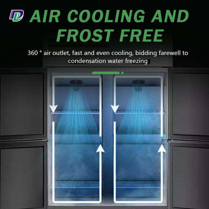 Professional Commercial Kitchen Fridge Upright Doors Freezer Double Door Stainless Steel Freezer Refrigerator