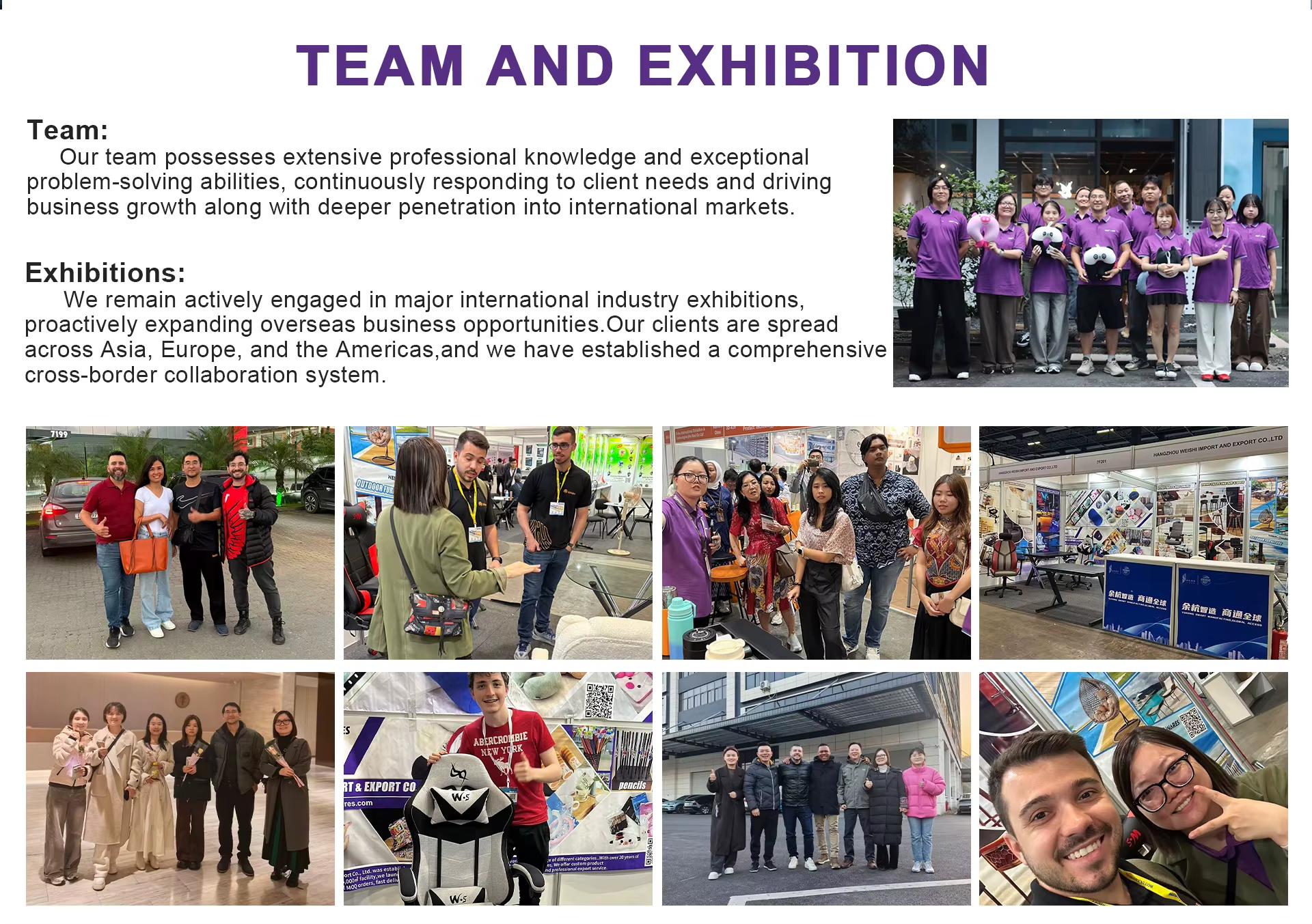 Hangzhou Weishi Import And Export Co., Ltd.