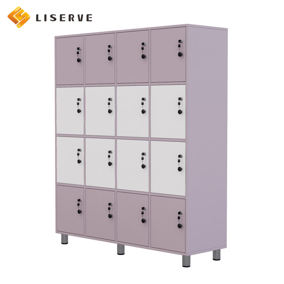 Doggy Classification Storage Cabinet - School Classroom - Library - Locked Private Storage Cabinet