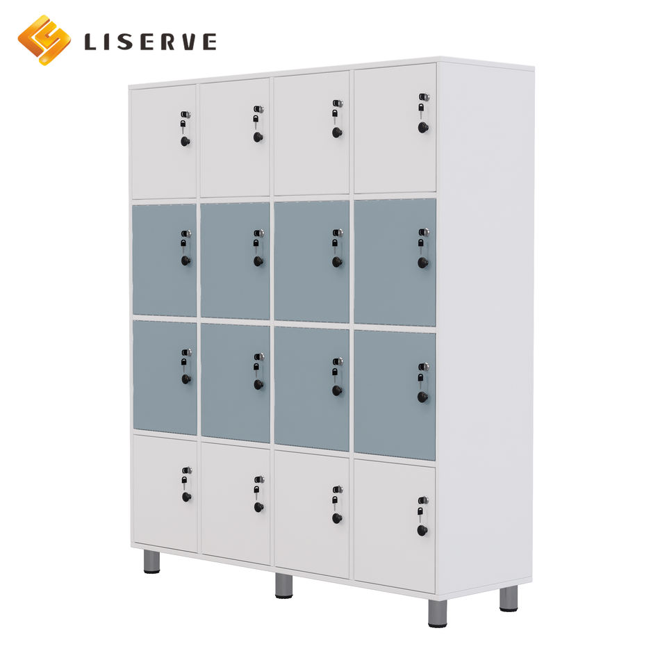 Doggy Classification Storage Cabinet - School Classroom - Library - Locked Private Storage Cabinet