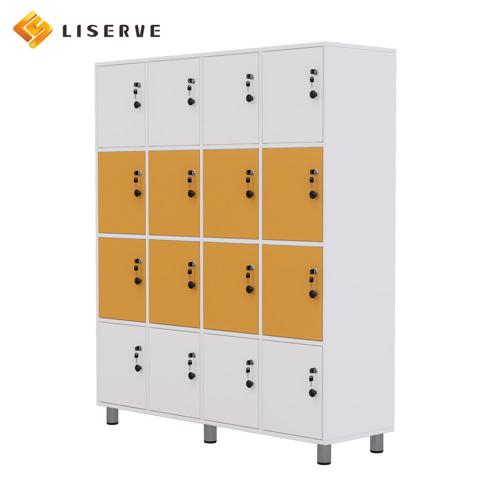 Doggy Classification Storage Cabinet - School Classroom - Library - Locked Private Storage Cabinet