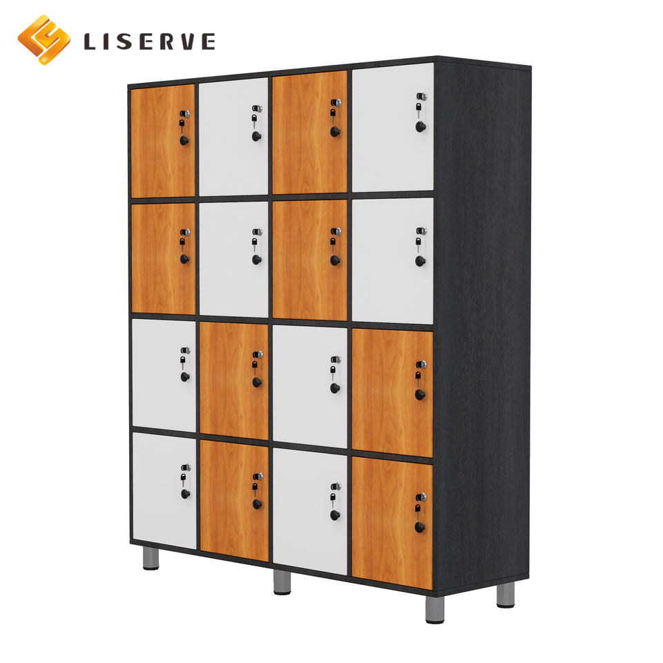 Doggy Classification Storage Cabinet - School Classroom - Library - Locked Private Storage Cabinet