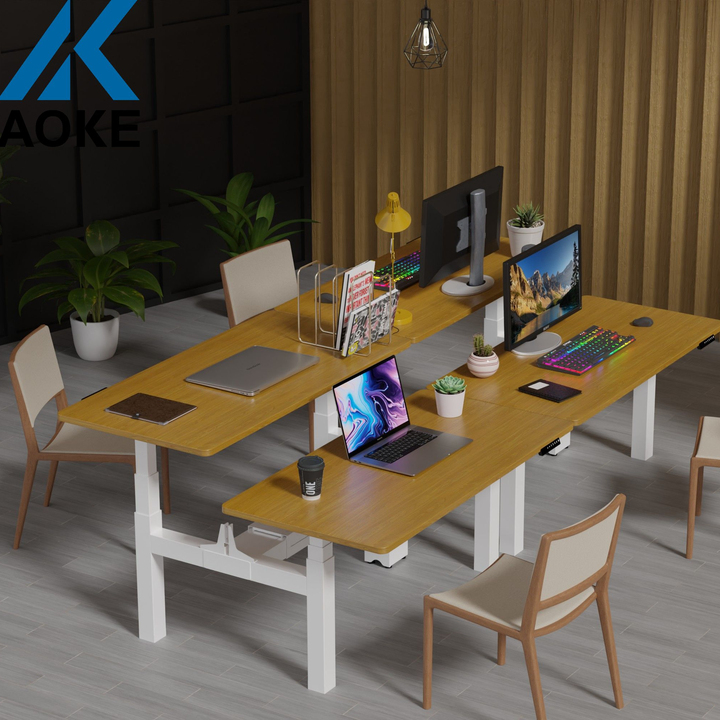 AOKE Office Furniture Standing Height Adjustable Electric Sit Stand Computer Desk Dual People Office Table Workstation