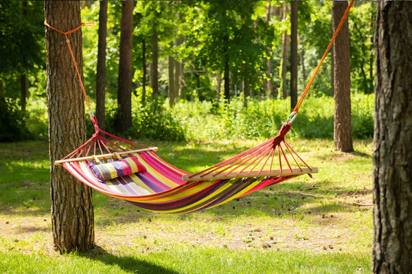 Hammocks